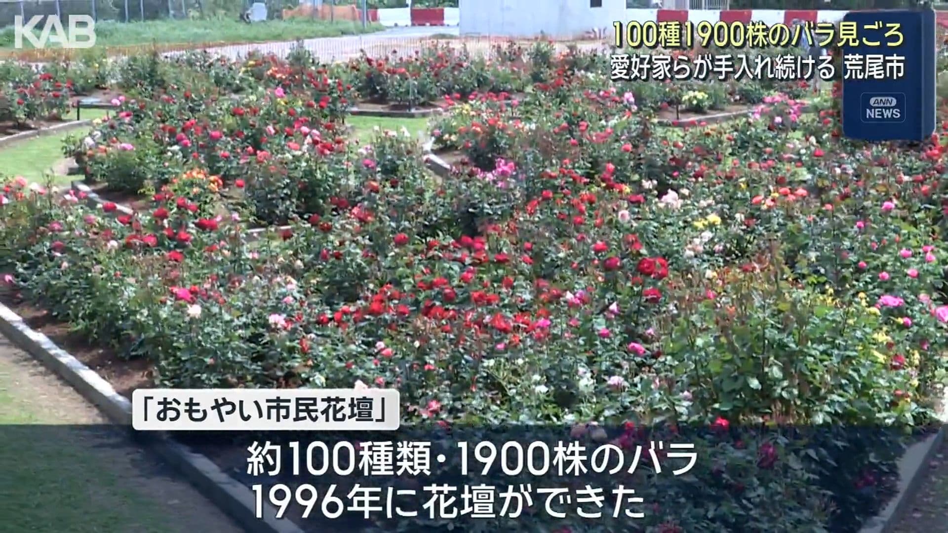 写真4
