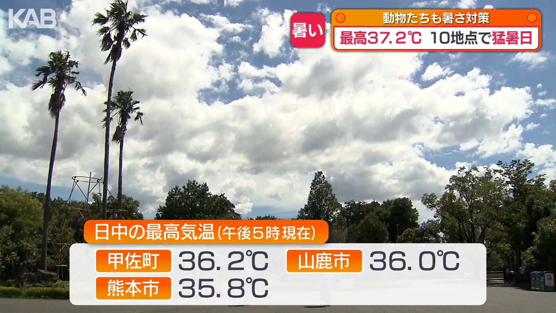 写真2