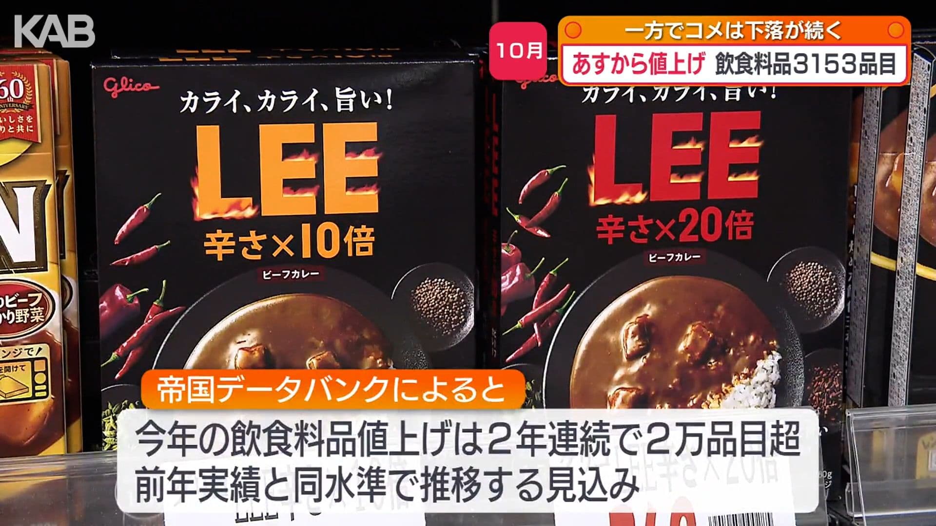 写真11