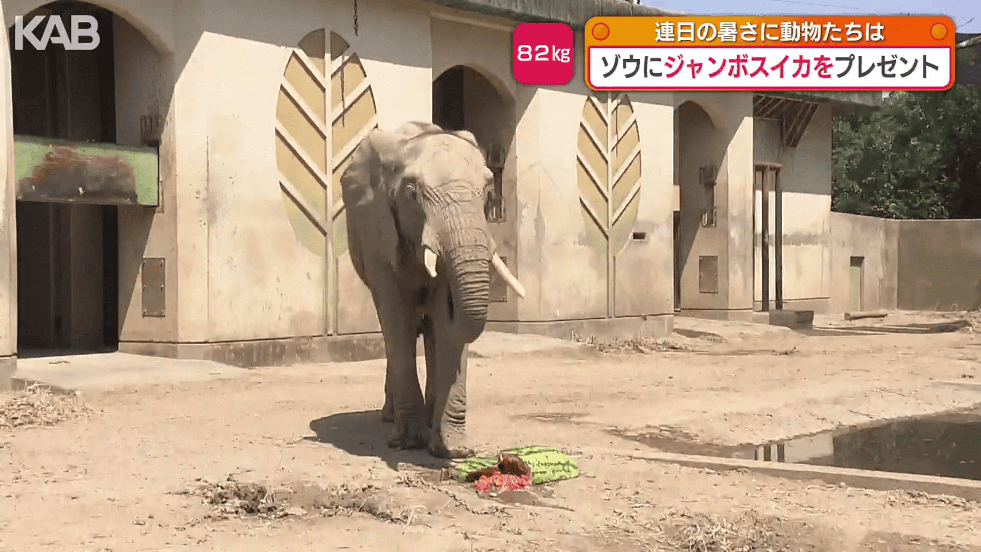 写真5