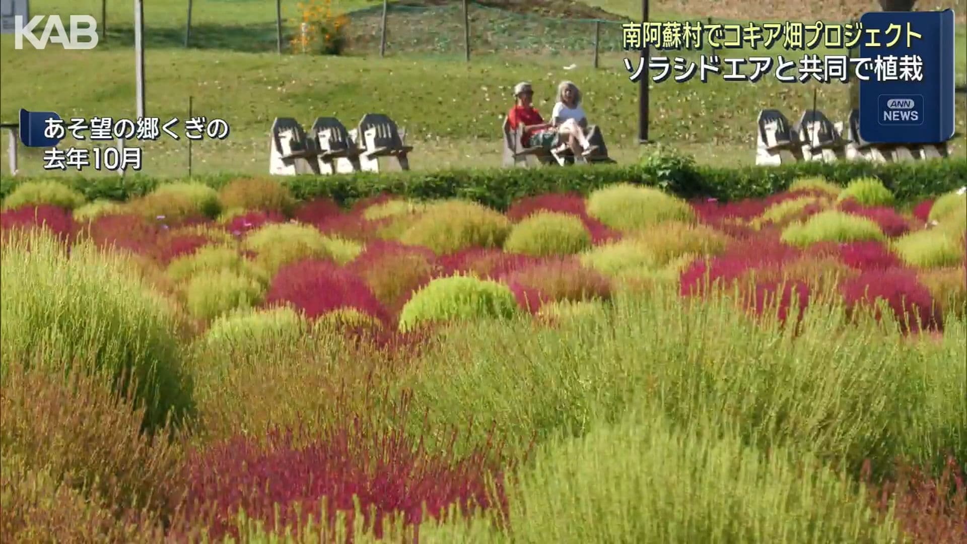 写真2