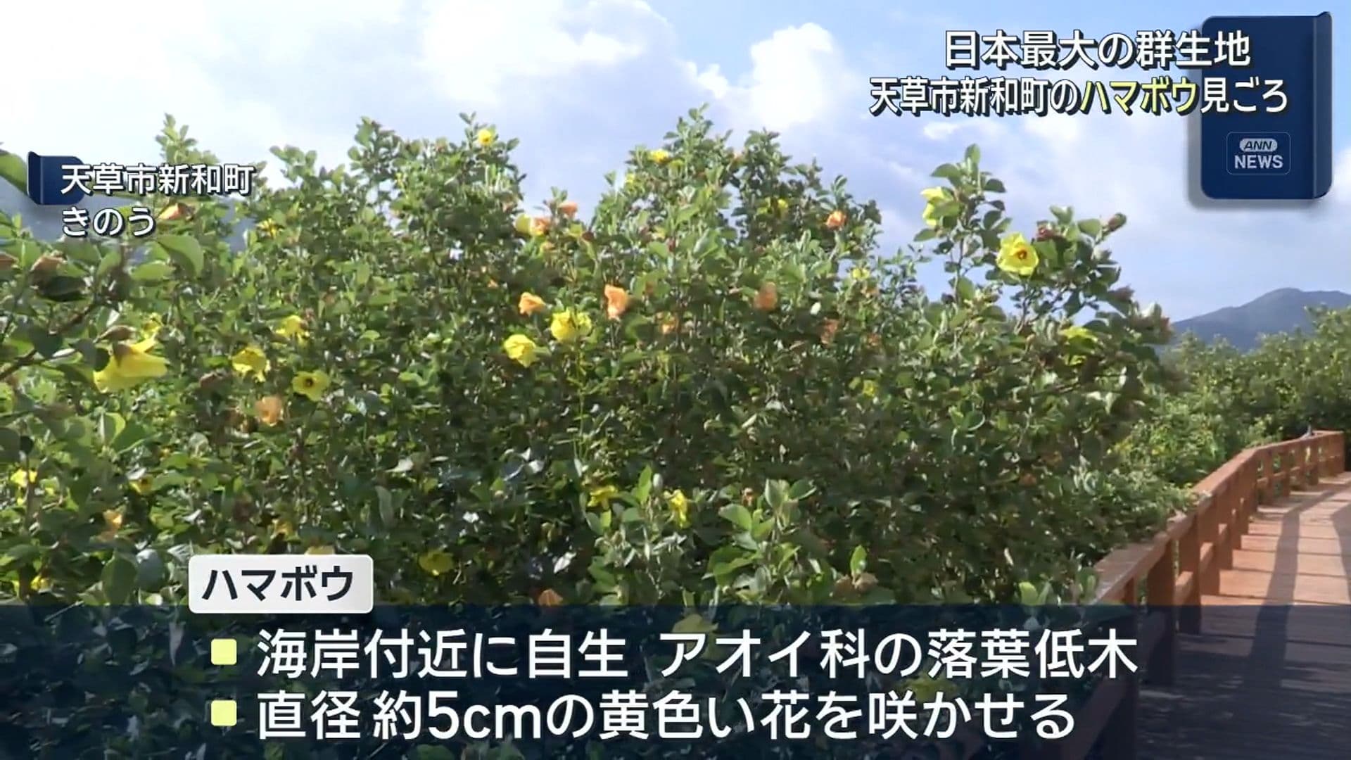 写真2
