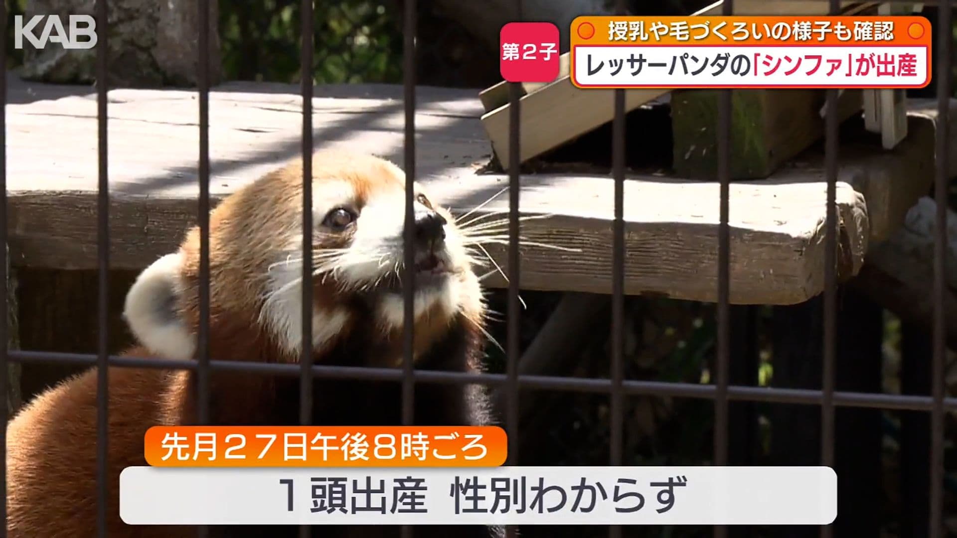 写真3