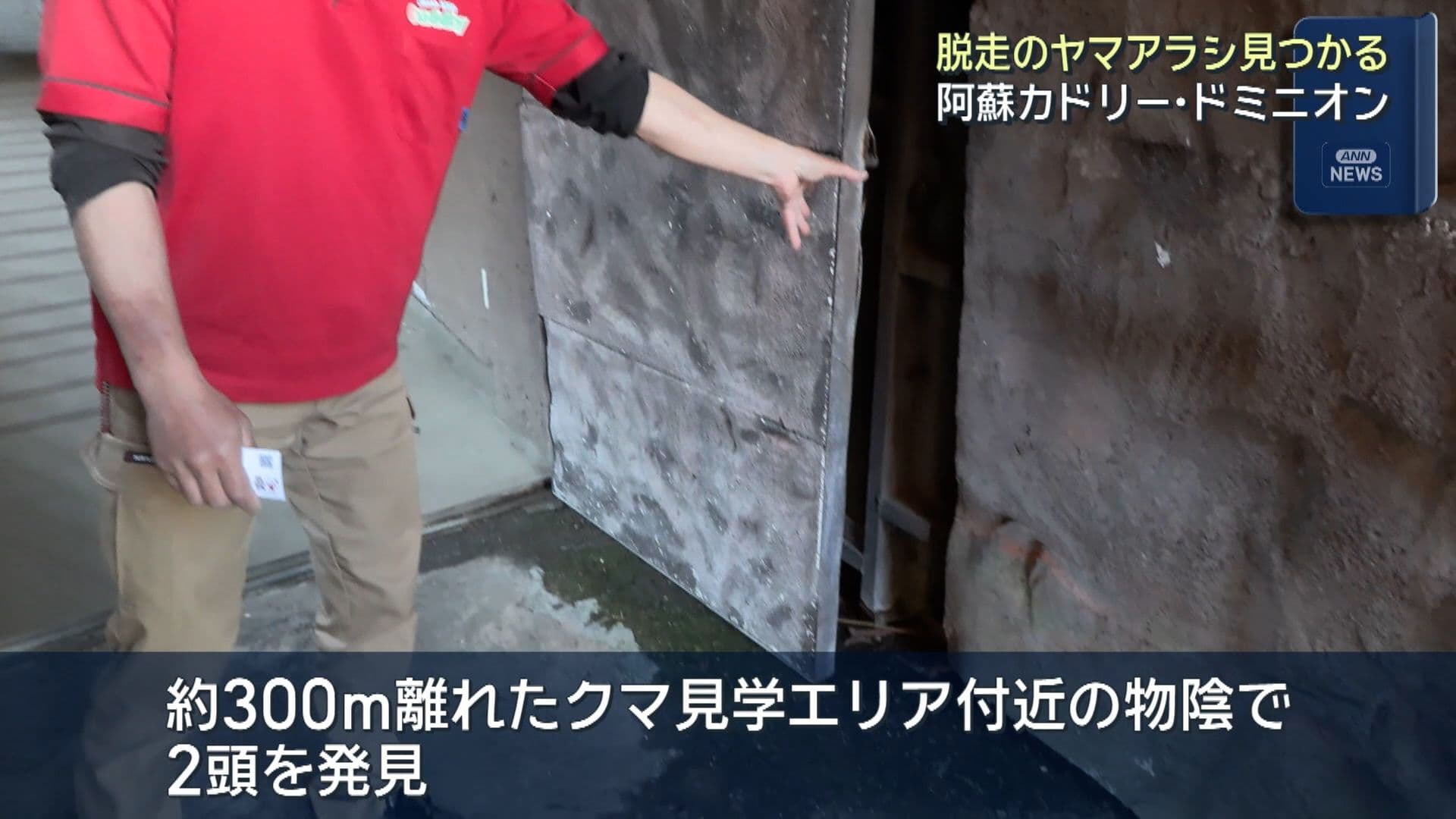 写真2