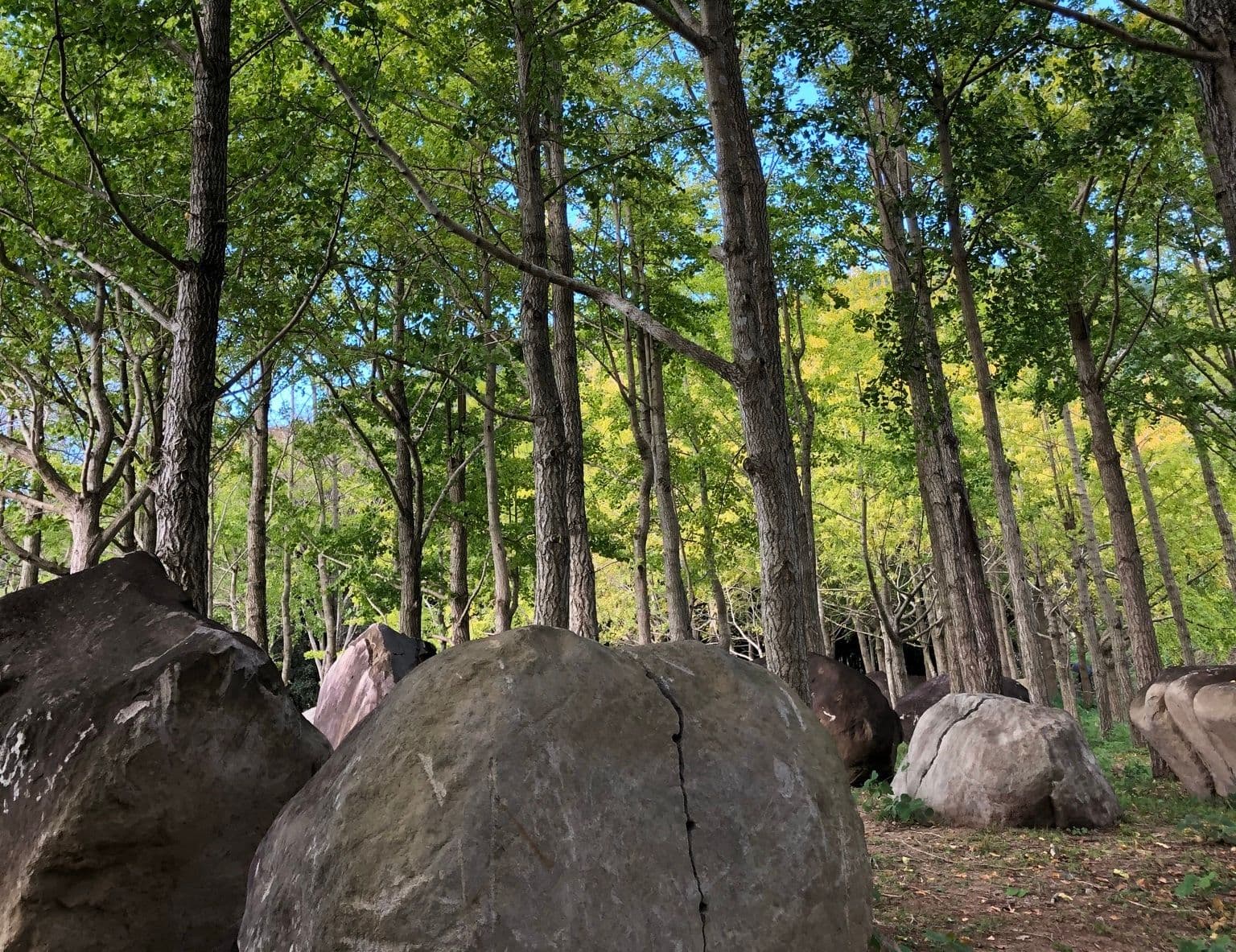 メイン記事画像