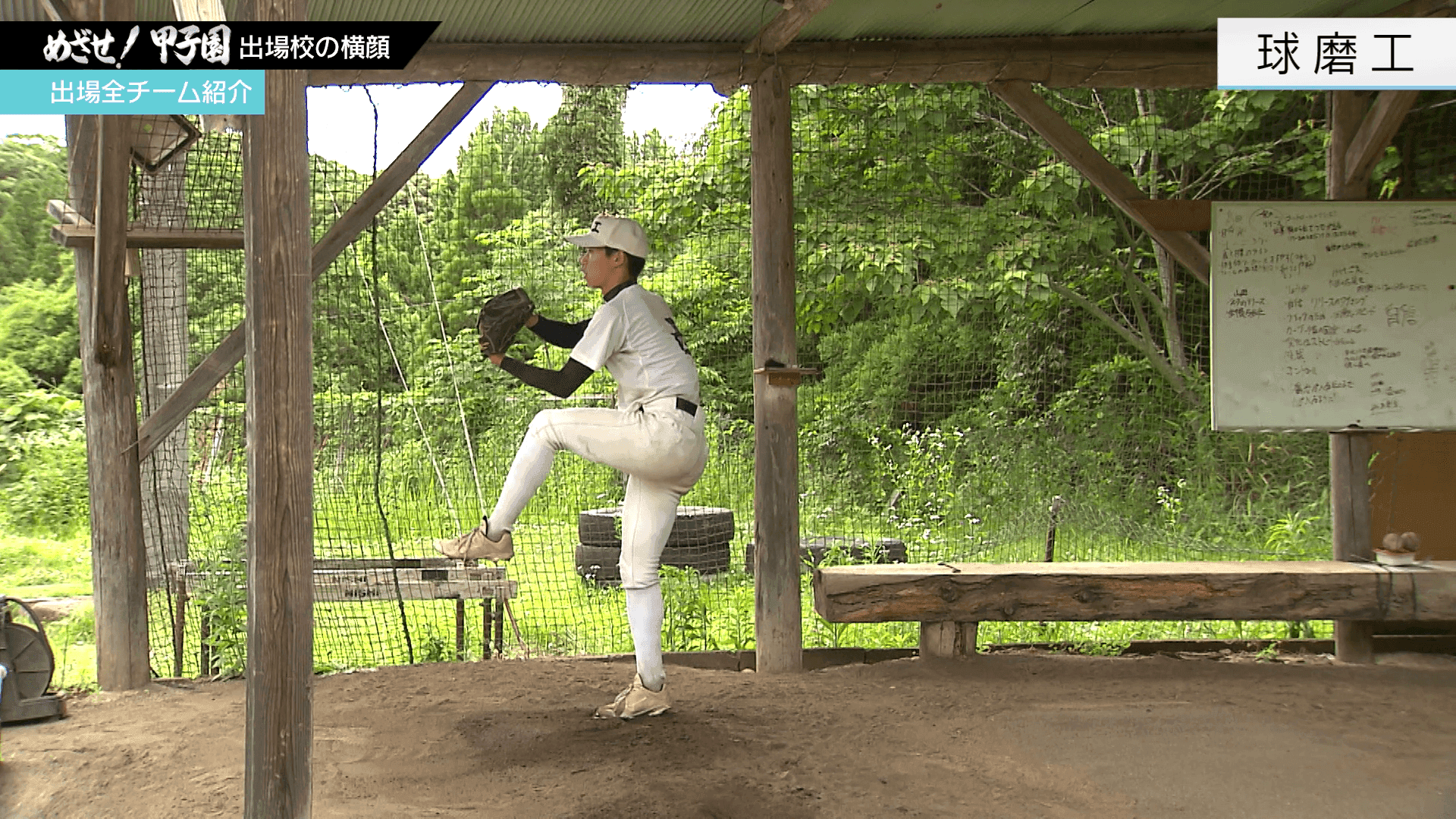 写真5