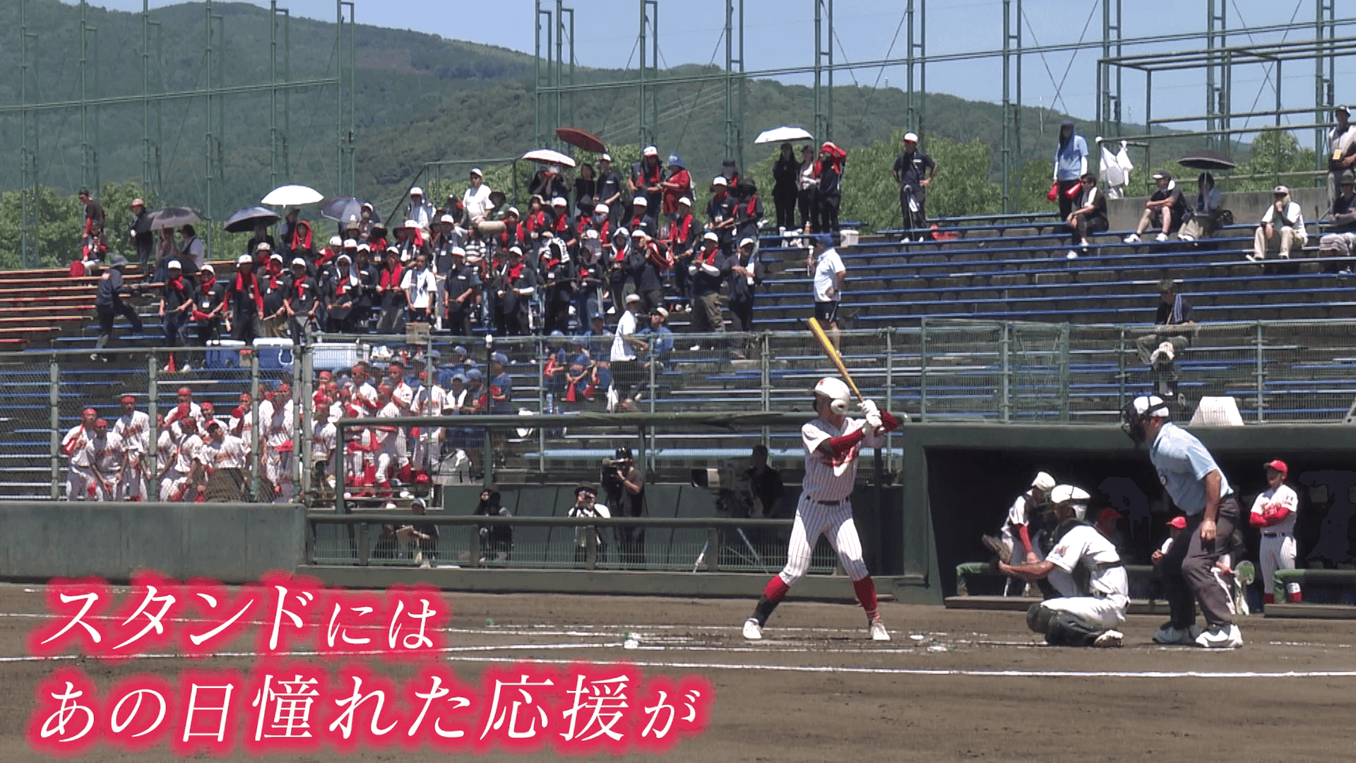 写真4