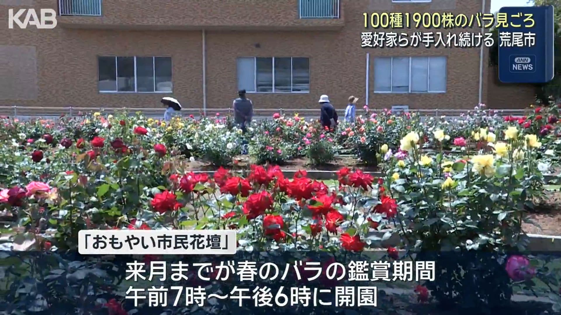 写真6