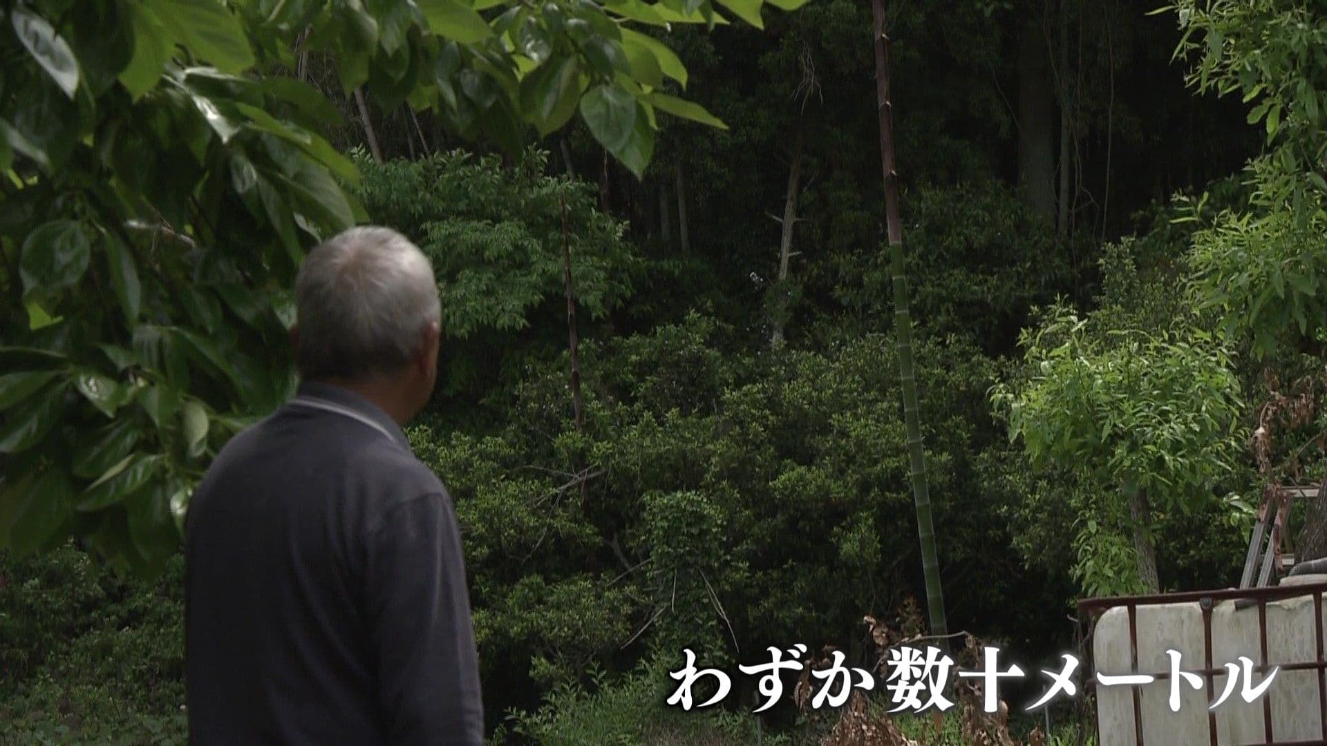 メイン記事画像