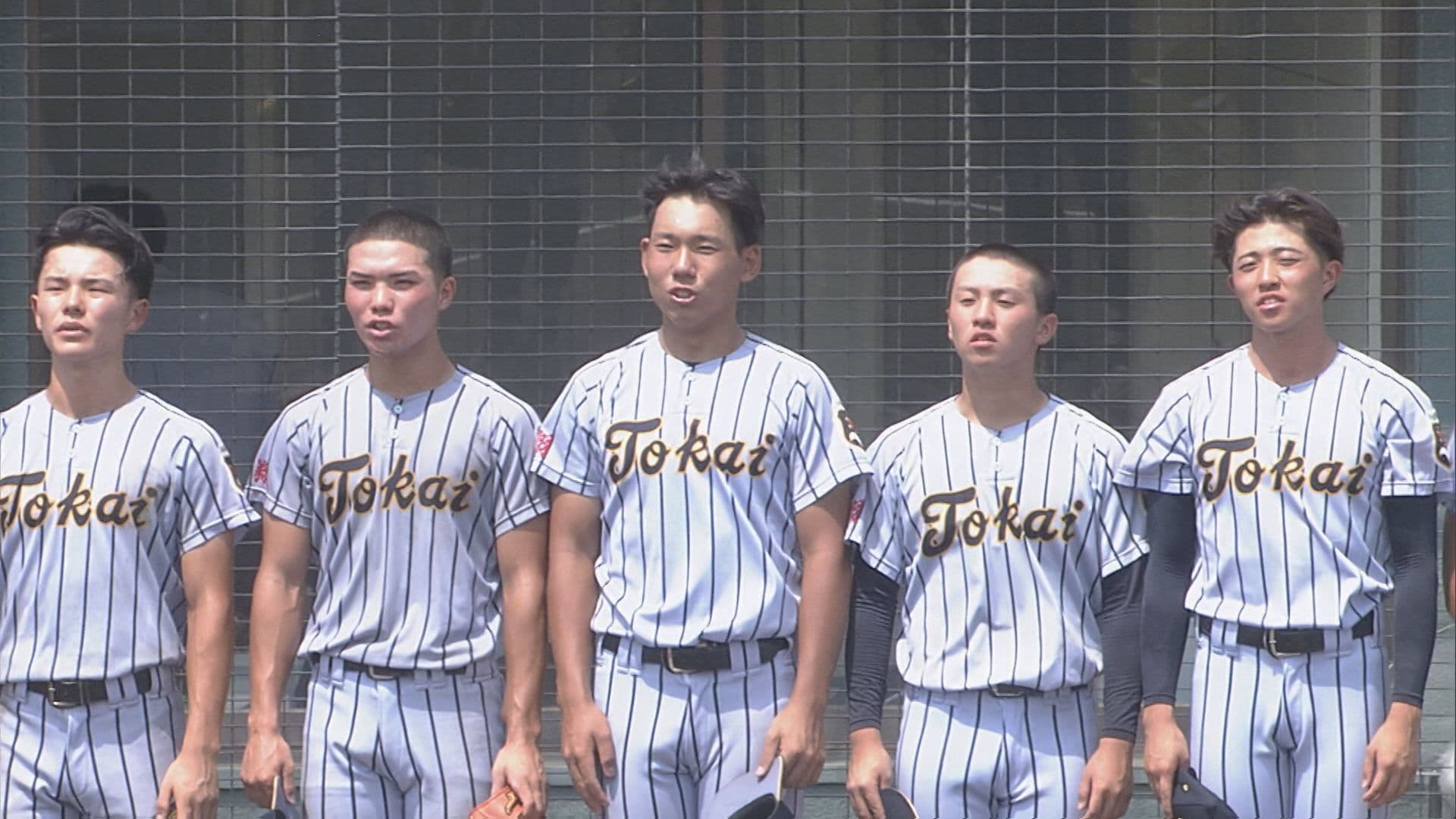 写真5
