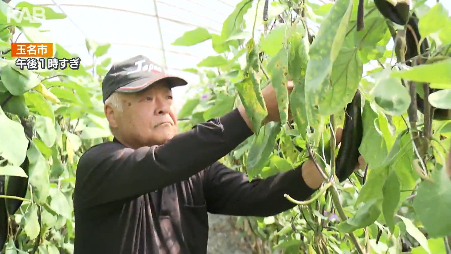 メイン記事画像