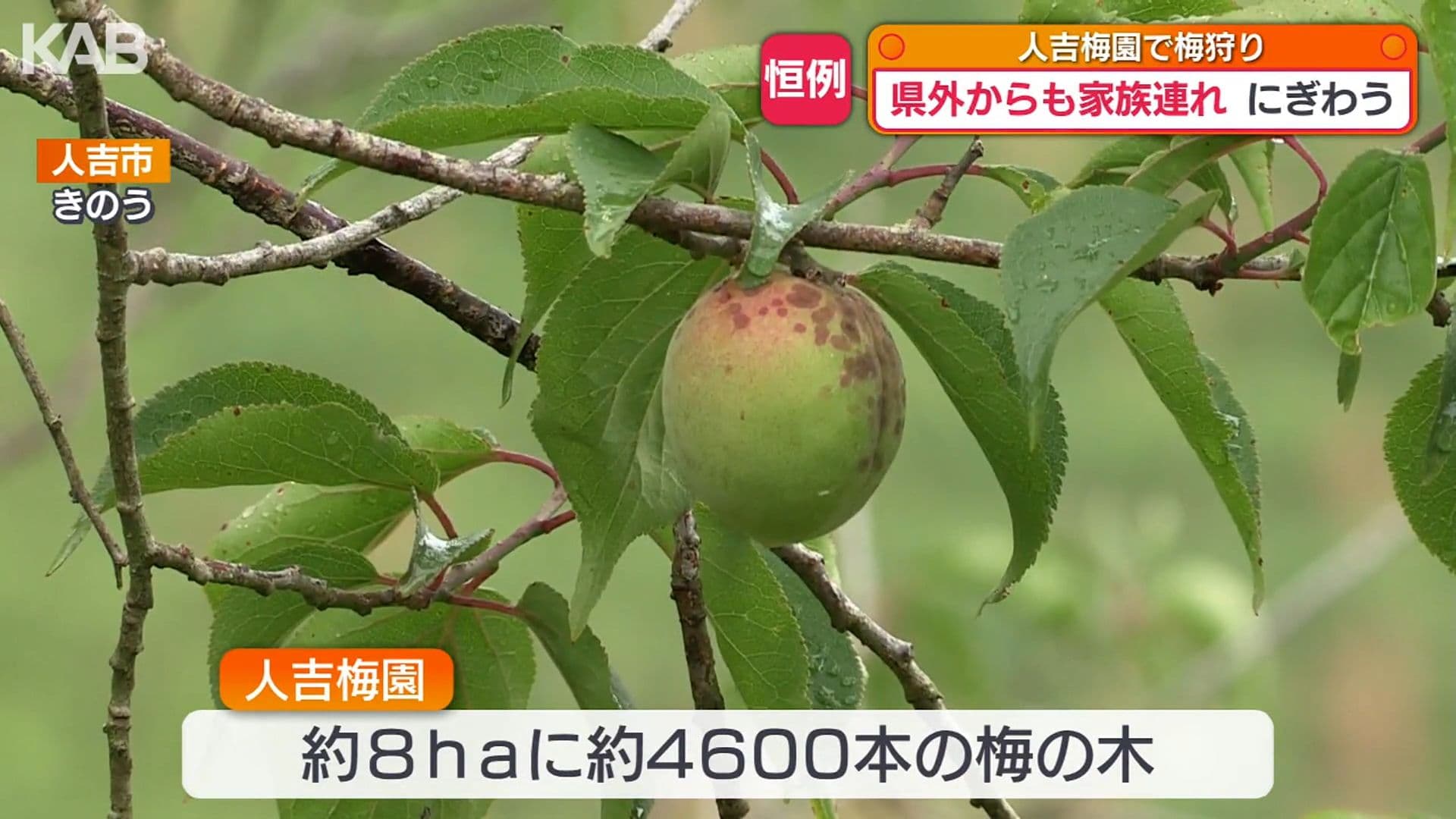 写真2