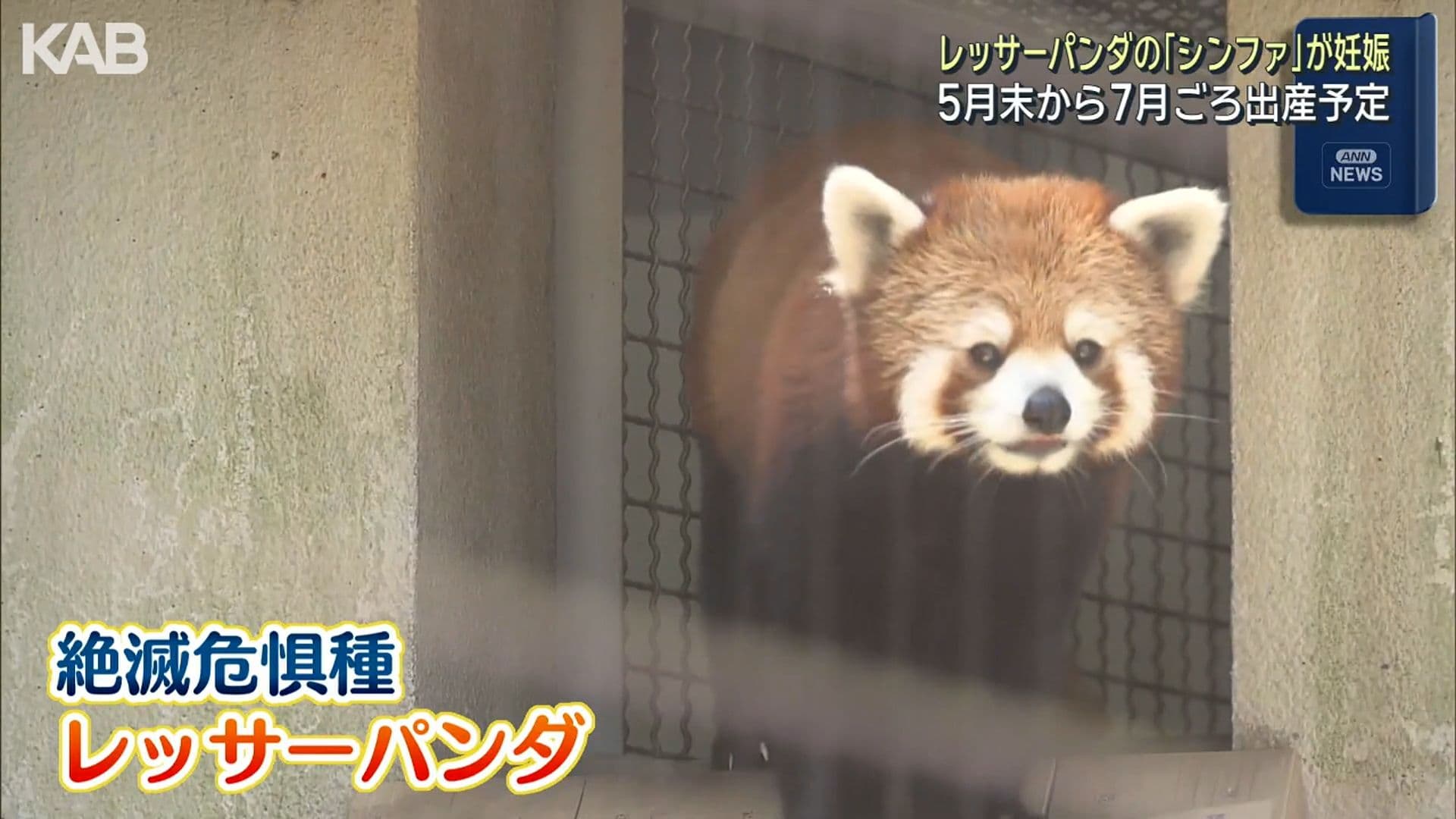 写真6
