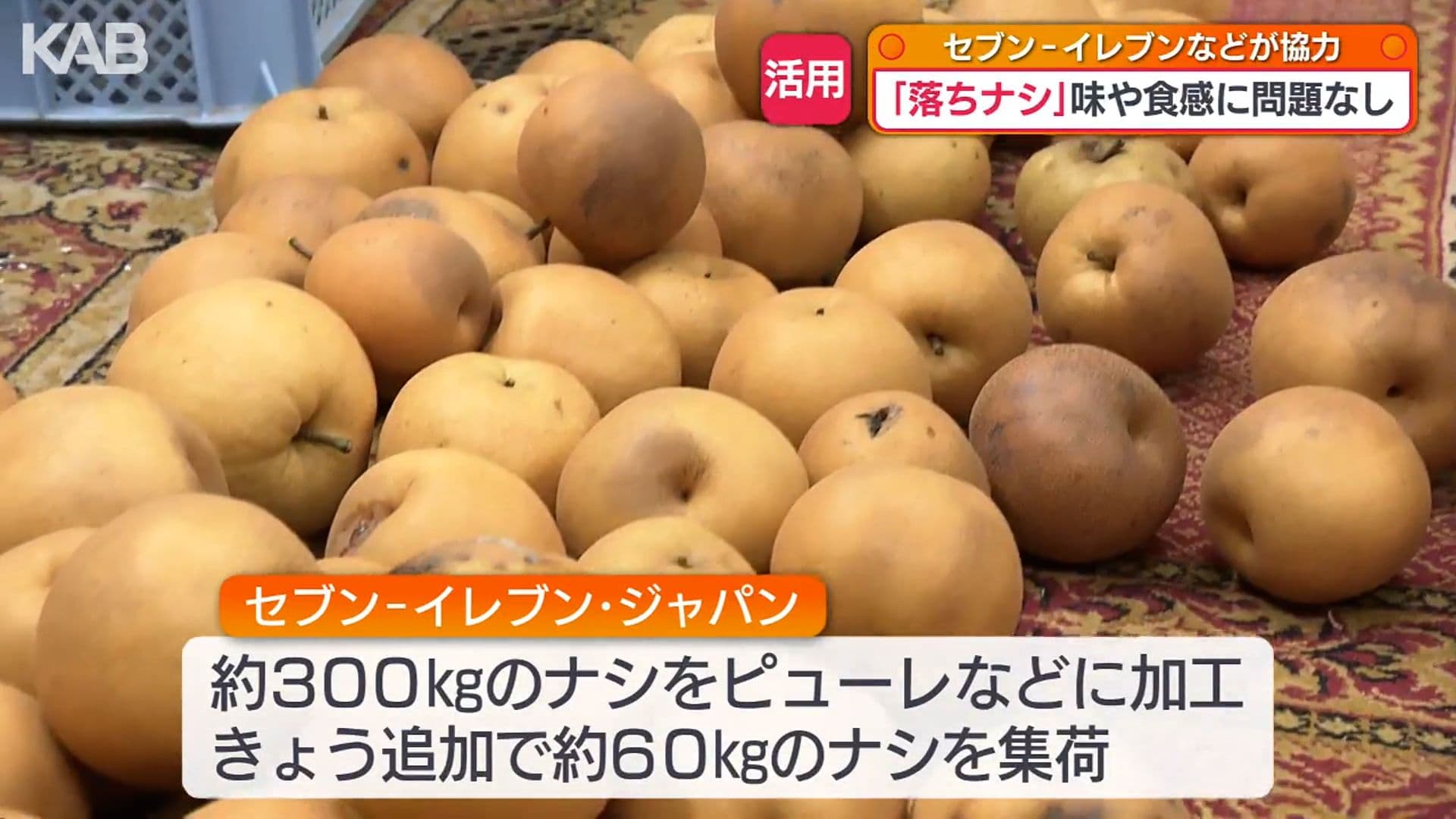 写真11