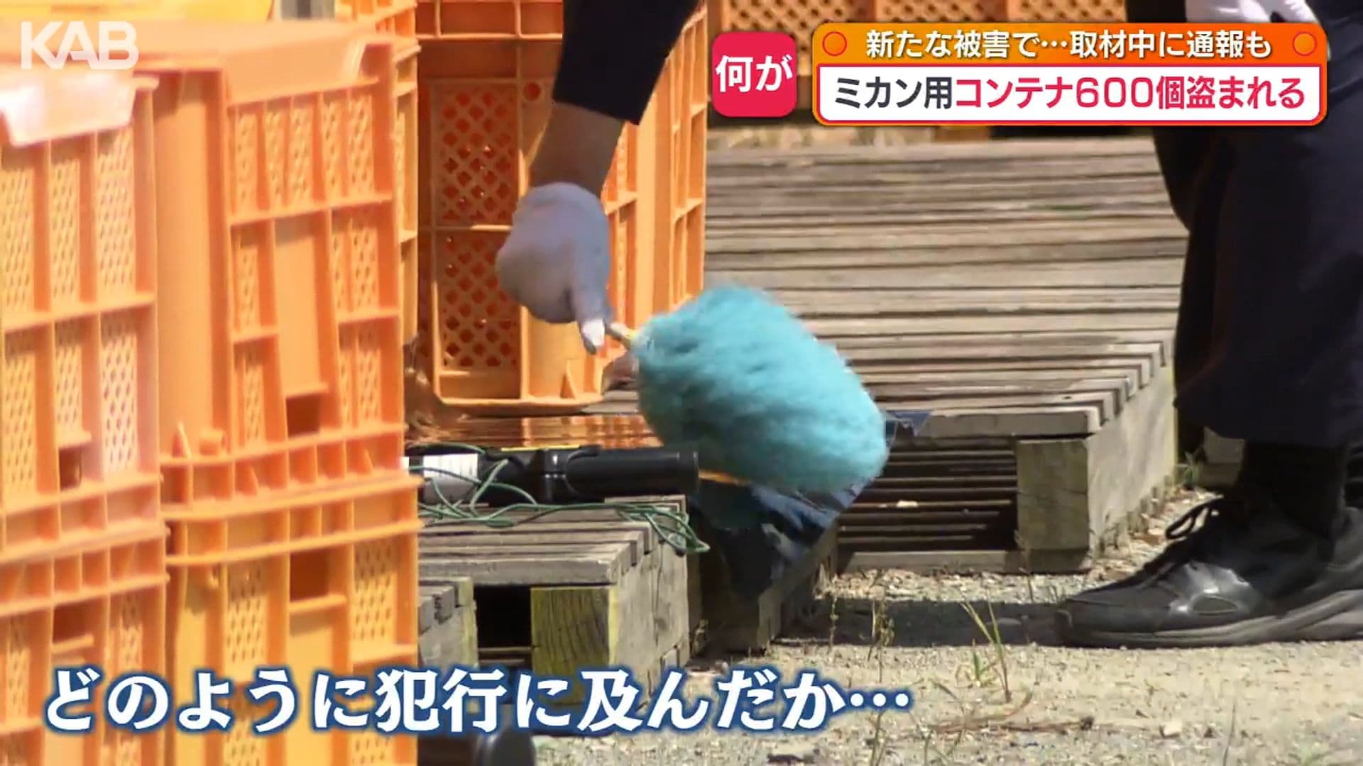 写真8
