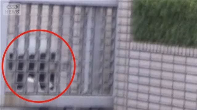 メイン記事画像