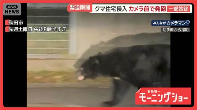 メイン記事画像