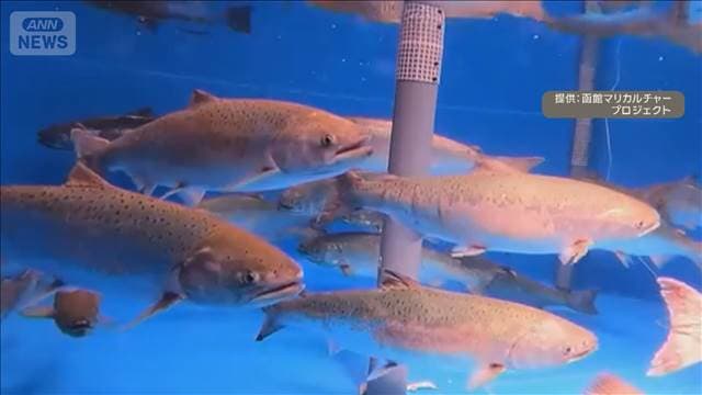 メイン記事画像