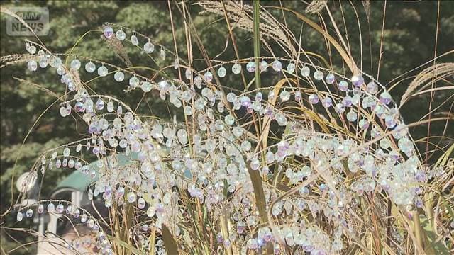 メイン記事画像