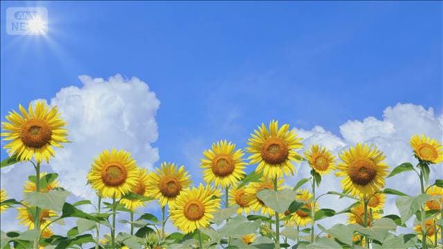 メイン記事画像