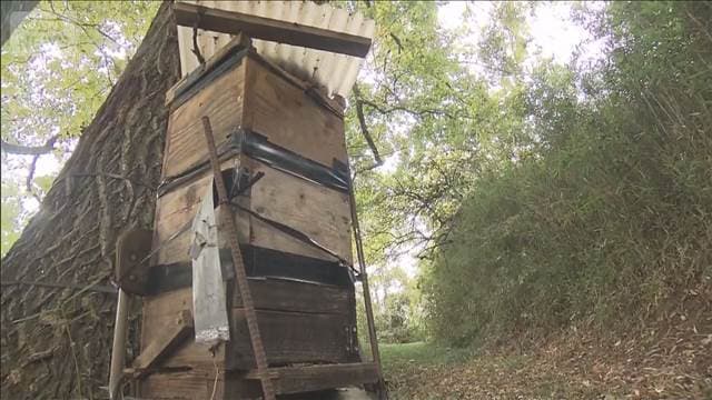 メイン記事画像