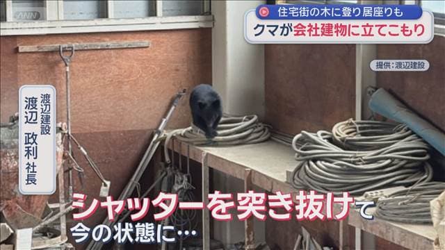 メイン記事画像