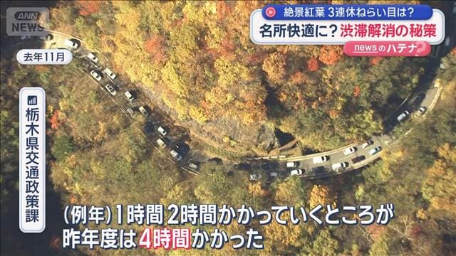 メイン記事画像