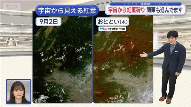 メイン記事画像