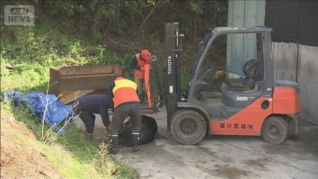 メイン記事画像