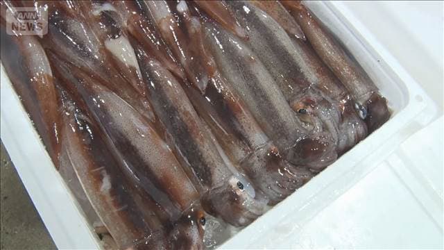 メイン記事画像