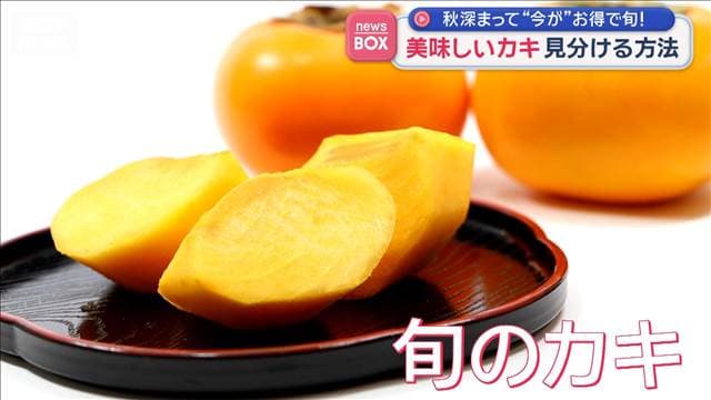 メイン記事画像