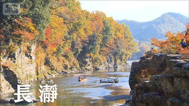 メイン記事画像