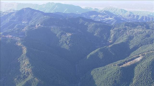 メイン記事画像