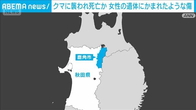 メイン記事画像