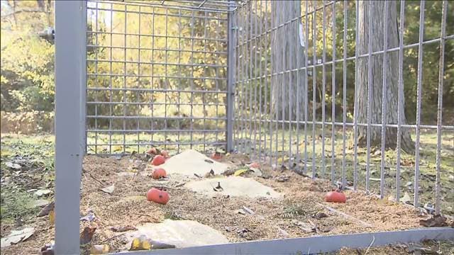 メイン記事画像