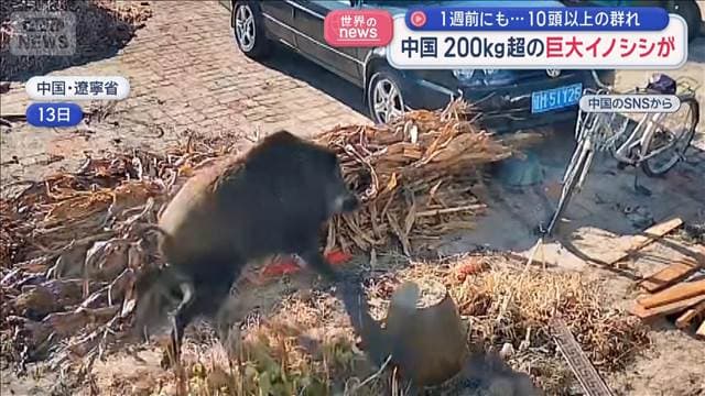 メイン記事画像