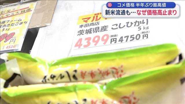 メイン記事画像