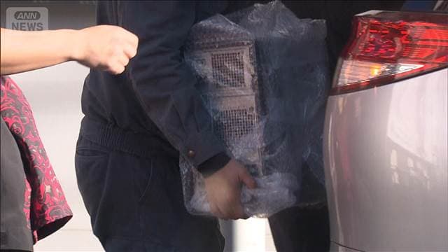 メイン記事画像