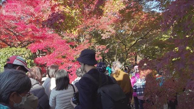 メイン記事画像