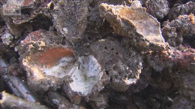 メイン記事画像