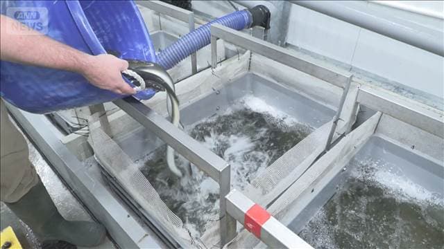 メイン記事画像