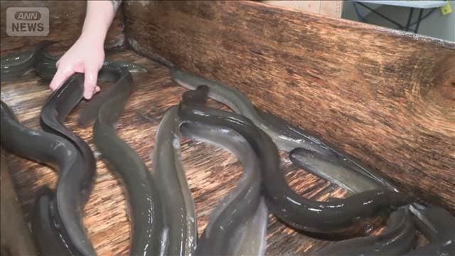 メイン記事画像