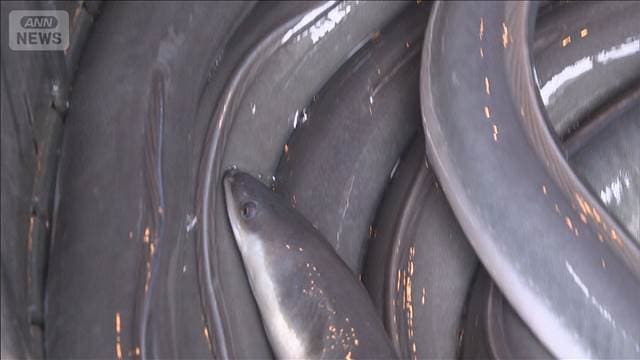 メイン記事画像