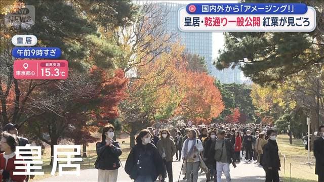 メイン記事画像