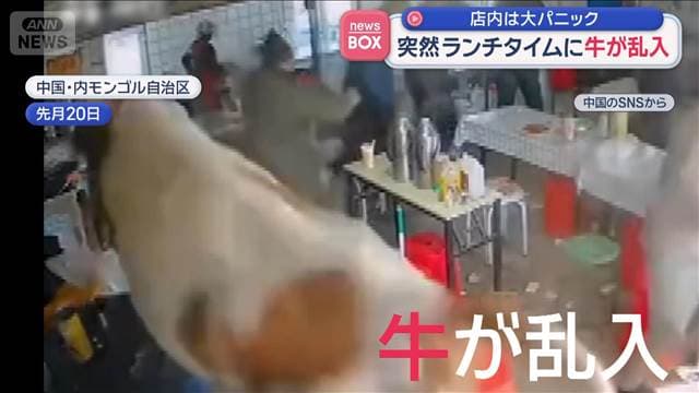 メイン記事画像