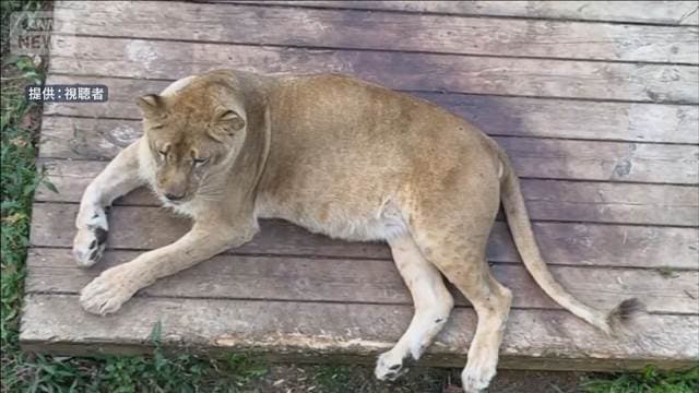 メイン記事画像