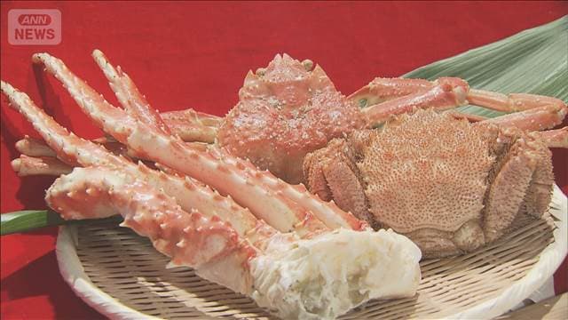 メイン記事画像