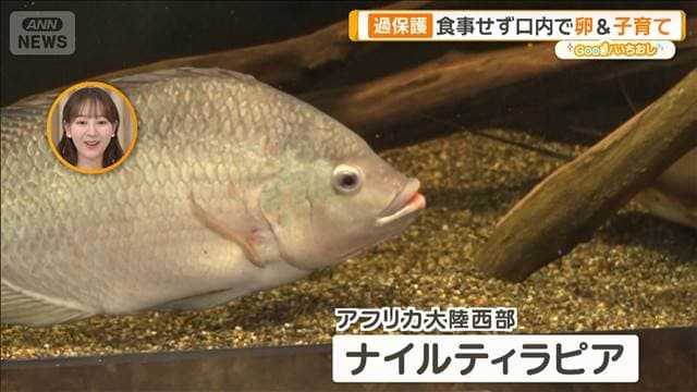 メイン記事画像