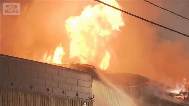 メイン記事画像