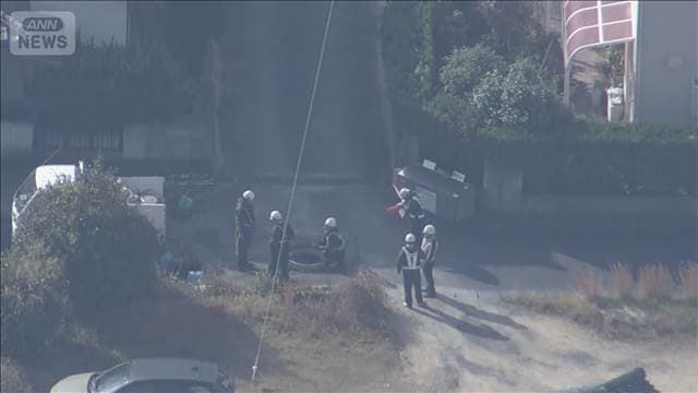 メイン記事画像